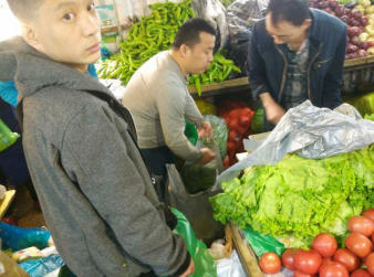 十年堅持，新鮮直達——哈爾濱柱子精準蔬菜配送，守護您的餐桌每一天